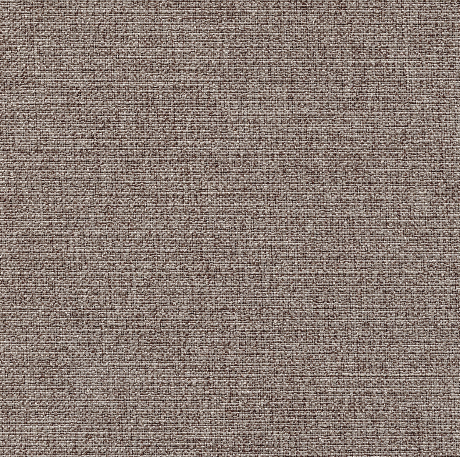 Canvas Fossil - 31605